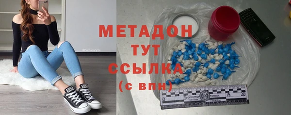 прущие грибы Баксан