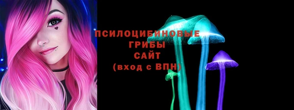 прущие грибы Баксан