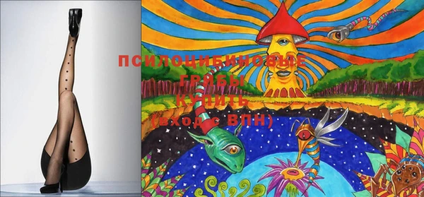 прущие грибы Баксан