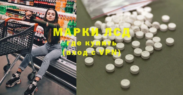 прущие грибы Баксан