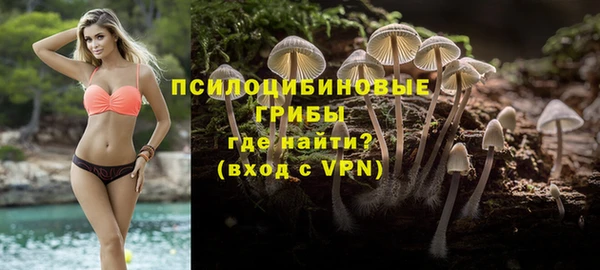 spice Балахна