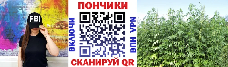 наркошоп  Лесозаводск  Конопля White Widow 